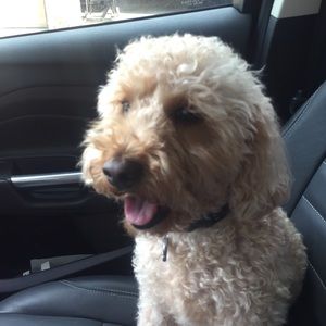 Meet your Posher, Myra